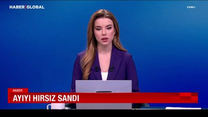 Ayıyı hırsız sandı: Kamera kayıtlarını izleyince gerçek ortaya çıktı