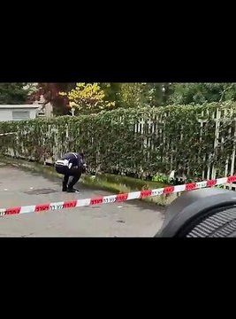Bruzzano, donna accoltellata dal marito: il video
