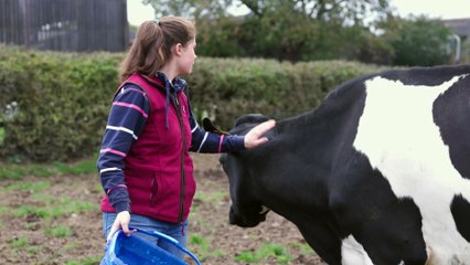 Milk factory to deliver hundreds of jobs to West Bromwich