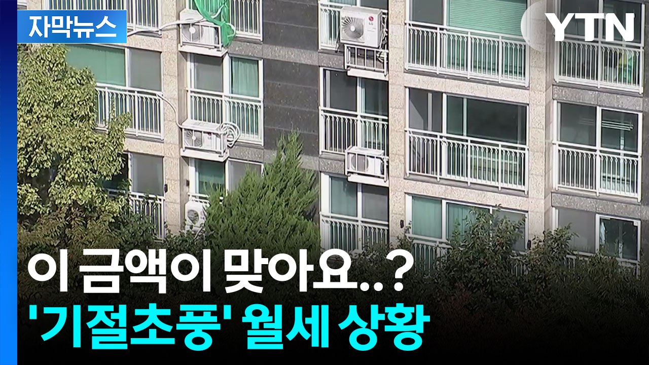 [자막뉴스] '전세' 씨 마르자 월세로 내몰리는 세입자들...내년 더 심각해질 듯 /...