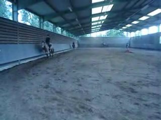 petit galop