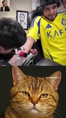 give this video title 💀😂 (warning answer) #cat #dance #memes #trending #funny