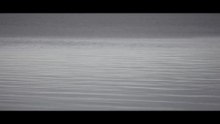 Tommaso Iacoviello - BIRDS (GleAM Records 2025)