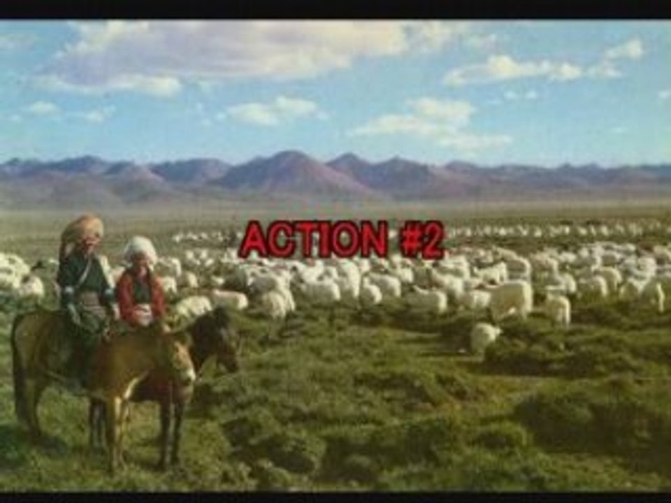 Free Tibet・G8サミット向けキャンペーン