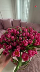 Τούνη: Σε άσχημη ψυχολογική κατάσταση – Η έκπληξη του συντρόφου της