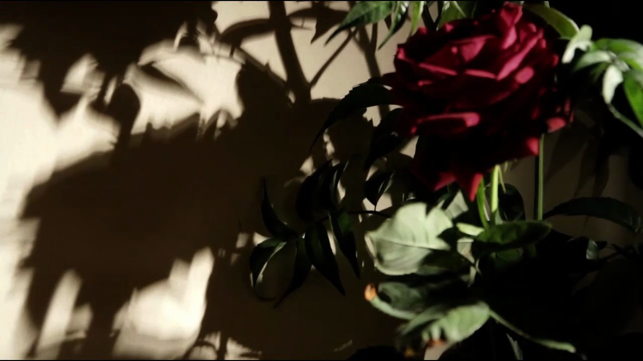 Tales from the Edge: The Unsolved Murder of Tracy Thompson (Full True Crime Episode)
