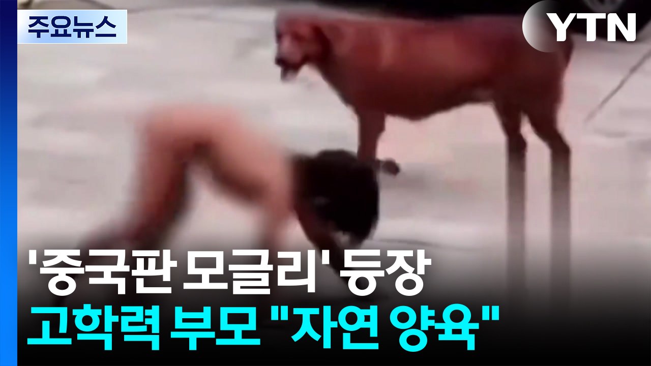 '중국판 모글리' 등장...고학력 부모 "자연 양육" 항변 / YTN