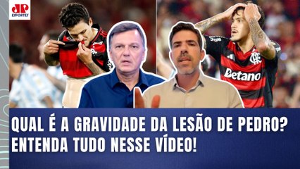 "A INFORMAÇÃO que EU APUREI é que..." Mauro Cezar e médico FALAM sobre a LESÃO DE PEDRO no Flamengo!