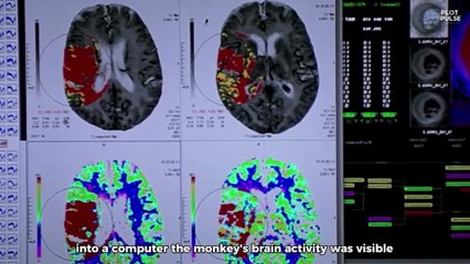 07. Scientists Upload Human Brain Into a Computer, Unaware It Will Take Over The World  Transcendenc