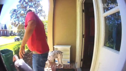 Best Fails of the Week ¦ Funniest Fails Gone Wrong