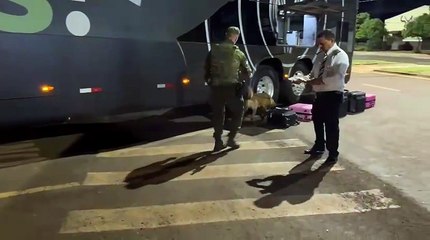 BPFron de Umuarama prende mulher com R$ 37 mil em maconha em ônibus interestadual