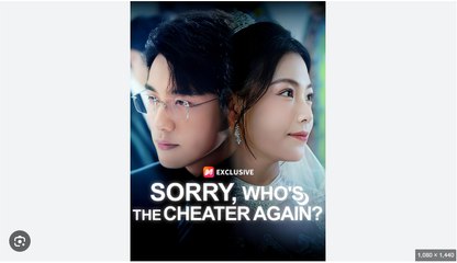 Sorry Who’S The Cheater Again