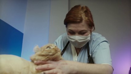 tn7-publireportaje-dos-pinos-221025