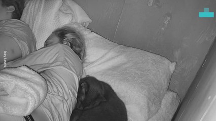 Hero Cat Stops Woman Suffering From Seizure