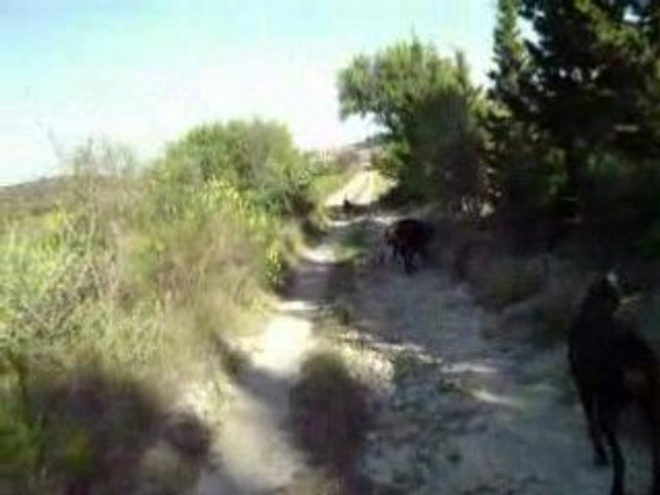 4e video bonne soirée
