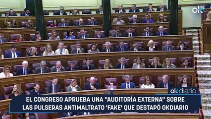 El Congreso aprueba una "auditoría externa" sobre las pulseras antimaltrato 'fake' que destapó OKDIARIO