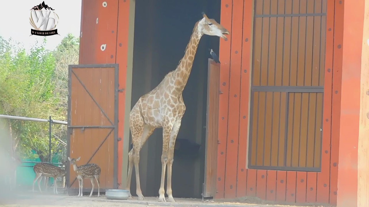 Wildlife Pakistan