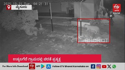 ಮೈಸೂರು: ಉಕ್ಕಲಗೆರೆ ಗ್ರಾಮದಲ್ಲಿ ಚಿರತೆ ಪ್ರತ್ಯಕ್ಷ, ಓಡಾಟದ ದೃಶ್ಯ ಸೆರೆ