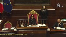 Patuanelli - Intervento in Senato (22.10.25)