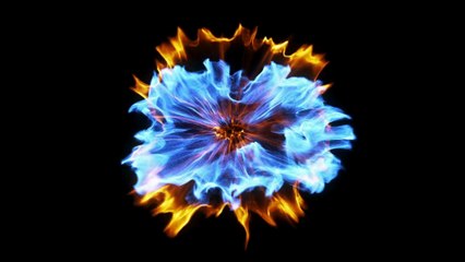 Can You Answer this Question No 1