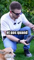 Ces lunettes de soleil peuvent changer de couleur de verres 🤩🤩