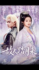 故人踏月来（60集） | 张渊元 & 塔瓦娜主演的感人短剧✨