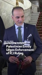 Palestinian Envoy Urges Enforcement Of ICJ Ruling