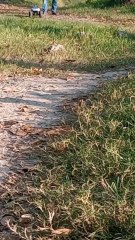running the trails