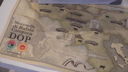 Mozzarella di bufala al top sul web, simbolo benessere e felicità