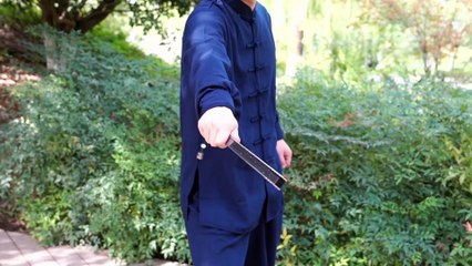 Titan of Machinery Aegis Titanium Folding Fan by NovaCarry — Kickstarter