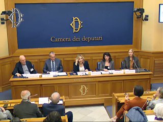 Roma - Presentazione del libro "Gattità'" di Gianfranco Palmery - Conferenza stampa di Gian Antonio Girelli  (22.10.25)