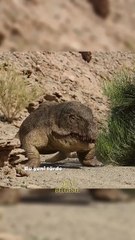 Dinozorlar Çağı başlamadan önce