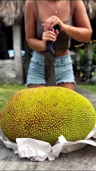 funny fails, epic pranks, hilarious bloopers, fail