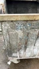 Görüntüleri CHP'li Özalper paylaştı: Manisa'da bir lisede 'Nutuk' kitaplarının çöpe atıldığı iddiası