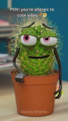 The angry cactus with a flower allergy! 🌵😤💐 #funny #animation
