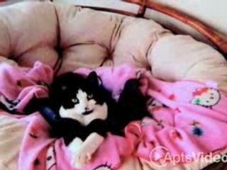 ForRent.com-Casa Antigua Apartments For Rent in Vista, ...