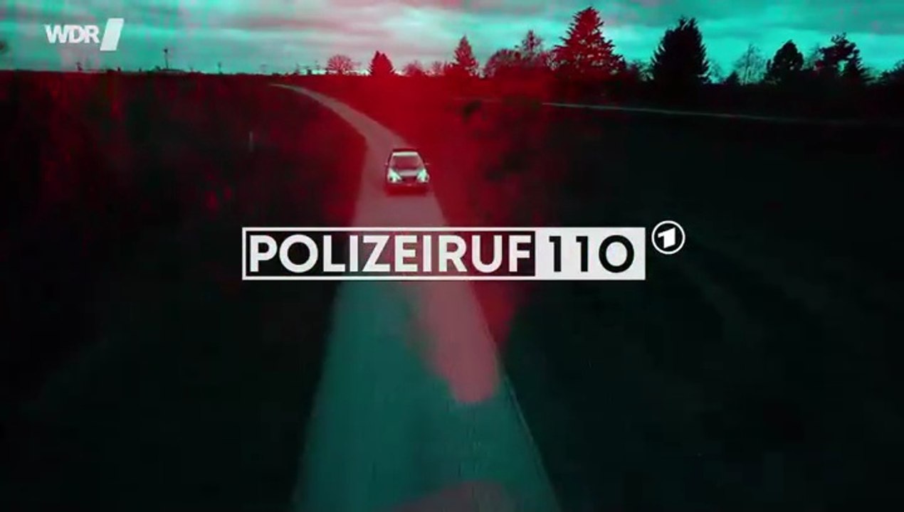 Polizeiruf 110 -380- Dunkler Zwilling