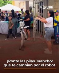 Barranquilla tiene nuevo ídolo viral y no es humano