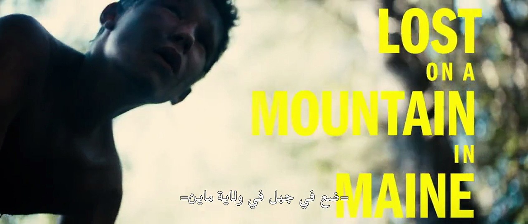 Lost on a Mountain in Maine (2024)