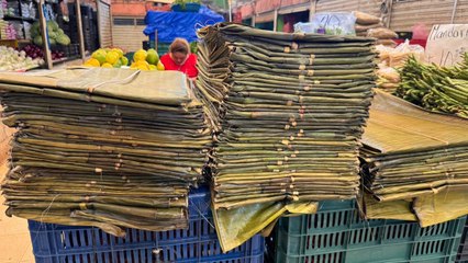 ¿Aumentará el precio de la hoja de plátano para el Hanal Pixán?