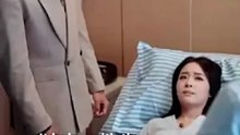 reborn to hunt my hubby back chinese drama