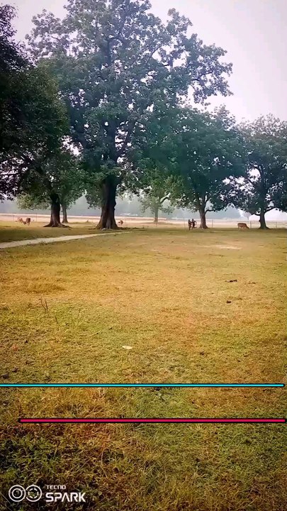 Comeback 💯🏃#1600mtrruning #runner #trendingreels #taarmybharti2025❤️‍🔥💥🇮🇳 #trending #virl #virlreels #reells #motivation #boy##diwali #happy #hindi #1600m workout #workout #english ##comeback #Speed #fast#runners #raining #viral #runner