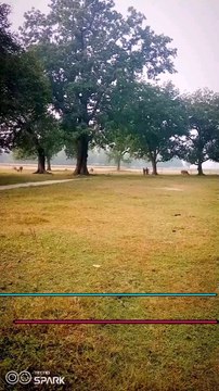 Comeback 💯🏃#1600mtrruning #runner #trendingreels #taarmybharti2025❤️‍🔥💥🇮🇳 #trending #virl #virlreels #reells #motivation #boy##diwali #happy #hindi #1600m workout #workout #english ##comeback #Speed #fast#runners #raining #viral #runner