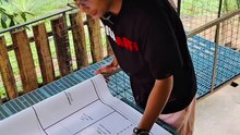 PIGGERY FLOOR PLAN OF OUR SOW HOUSE