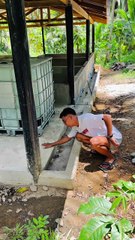 OUR PIGGERY FARM FROM OUR BLOOD AND SWEAT