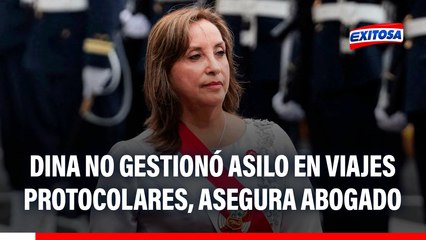 Dina Boluarte no gestionó asilo político en viajes protocolares, asegura abogado