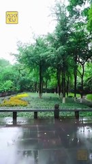 THE OMNISCIENT LITTLE ONE- Drama FULL MOVIES ENGLISH SUB