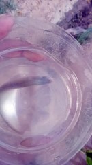 This content for evryone