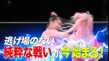 TJPW Additional Attack '25 Princess of Princess Championship Yuki Aino vs Miu Watanababe