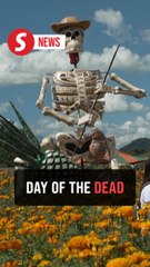 Mexico honours traditional trades with giant skeleton exhibit ahead of Day of the Dead
